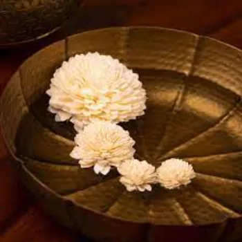 Shola Flower